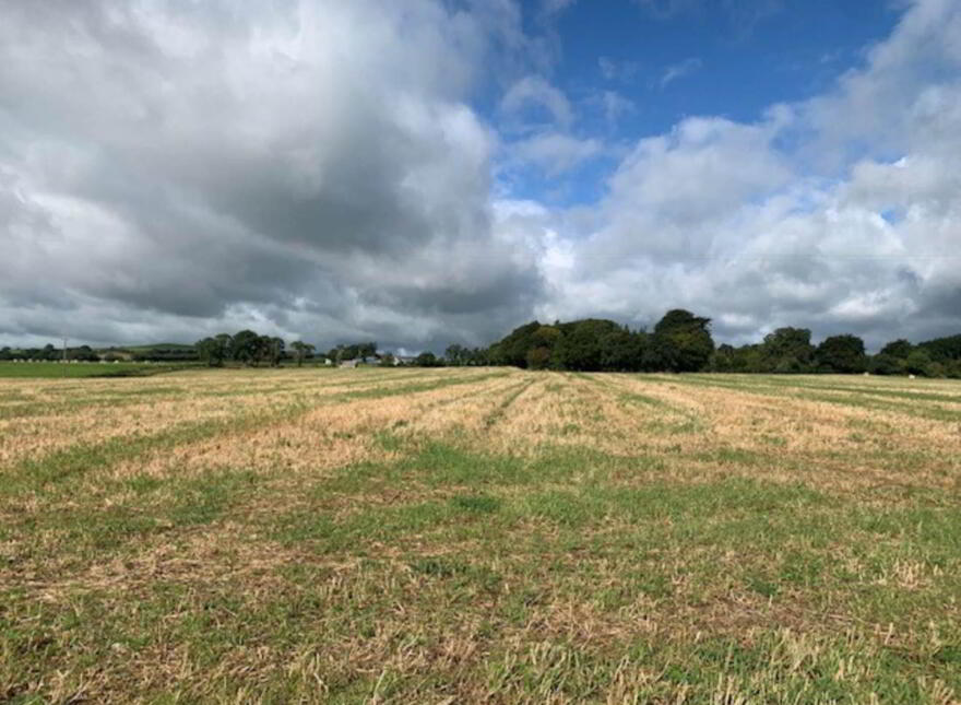 Ballycapplewood, Bantis, Cloughjordan, Nenagh