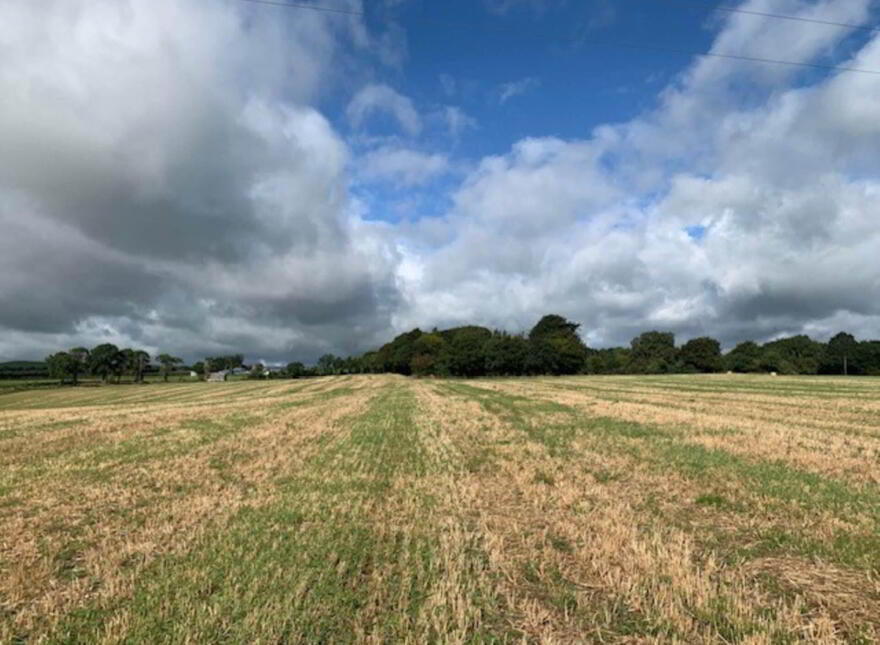 Ballycapplewood, Bantis, Cloughjordan, Nenagh