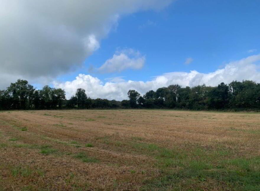 Ballycapplewood, Bantis, Cloughjordan, Nenagh