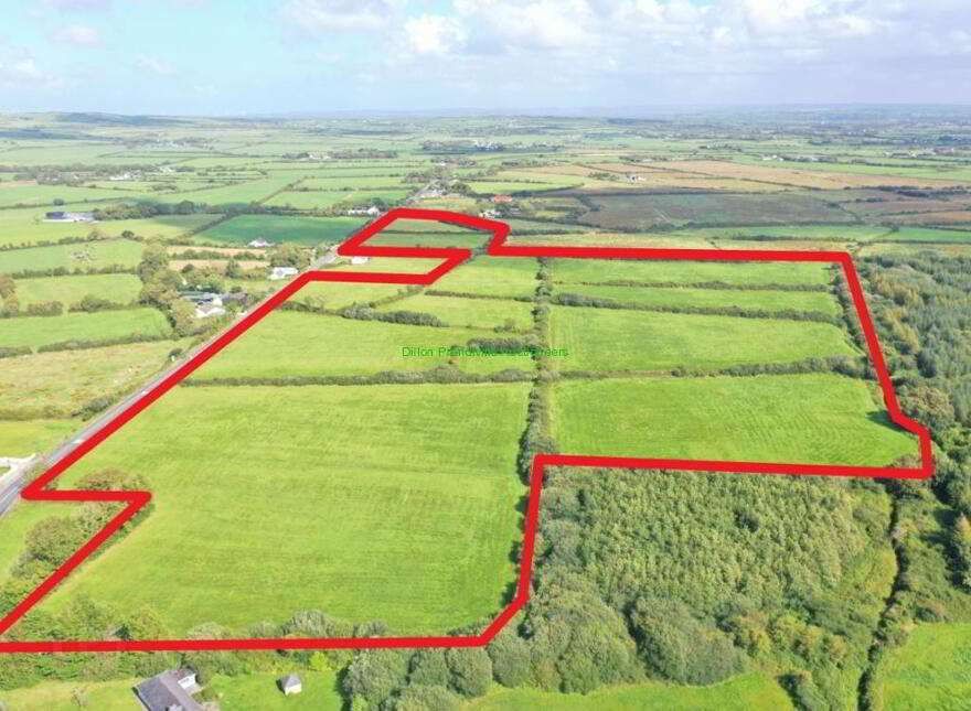 C. 41.19 Acre Non- Residential Holding, Moybella East,, Moybel...East, Lisselton