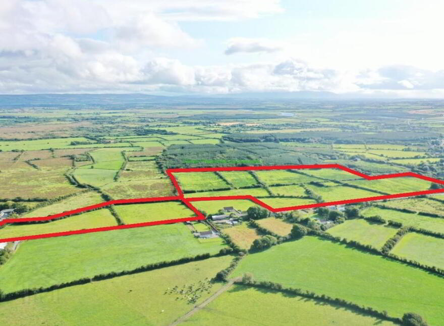 C. 41.19 Acre Non- Residential Holding, Moybella East,, Moybel...East, Lisselton