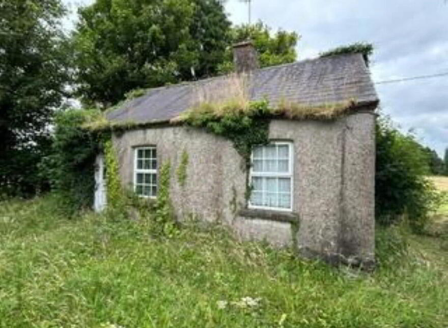 Doolan's Cottage, Corbetstown, Killucan photo