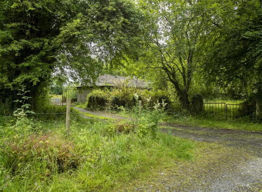 Lough Ennell, Mullingar