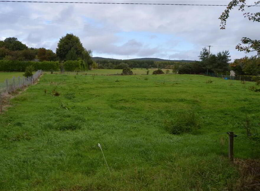 Streamhill West, Inchnagree, Doneraile, P51X028 photo