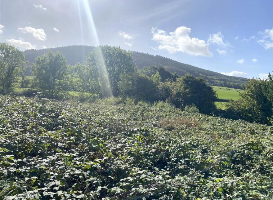 Coolcarron, Fermoy photo