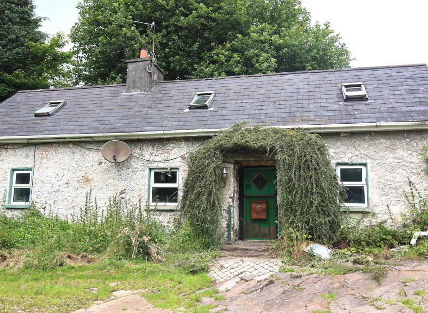 Stough Nealstown, Roscrea, E53FP66 photo