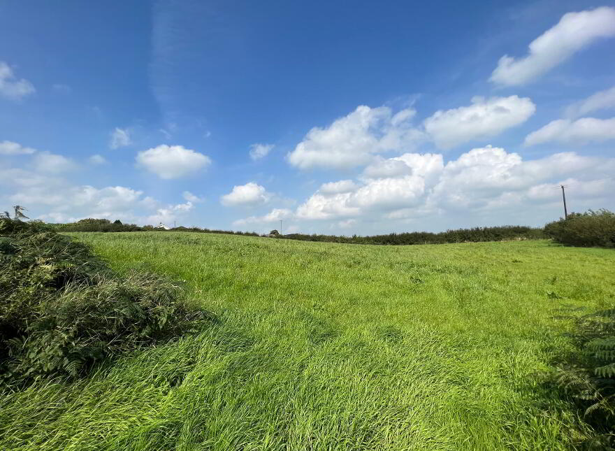 19 Acres Of Agricultural Land, Carnaman Road, Gulladuff, Magherafelt, BT45 8PN