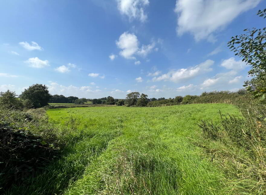 19 Acres Of Agricultural Land, Carnaman Road, Gulladuff, Magherafelt, BT45 8PN