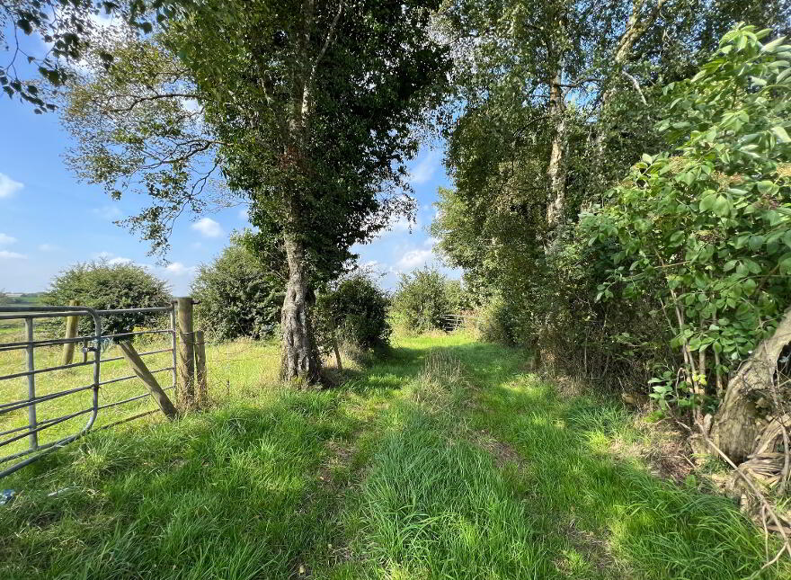 19 Acres Of Agricultural Land, Carnaman Road, Gulladuff, Magherafelt, BT45 8PN