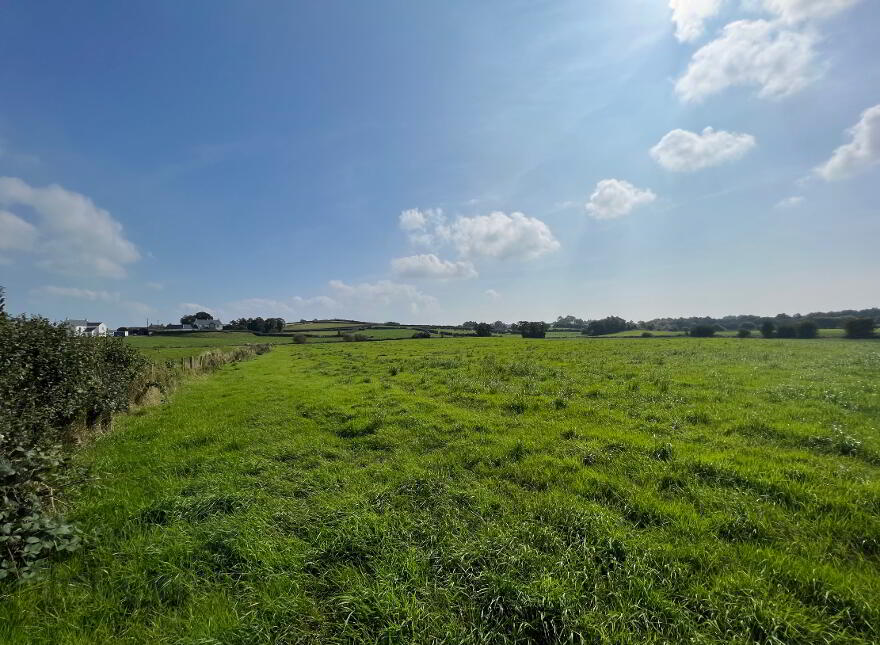 19 Acres Of Agricultural Land, Carnaman Road, Gulladuff, Magherafelt, BT45 8PN photo