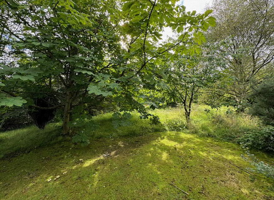 29a McCrae's Brae, Whitehead, BT38 9NZ