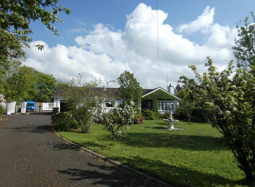 'South Creek', 56 Frosses Road, Ballymoney, BT53 7HN