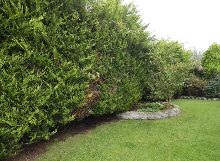 'South Creek', 56 Frosses Road, Ballymoney, BT53 7HN