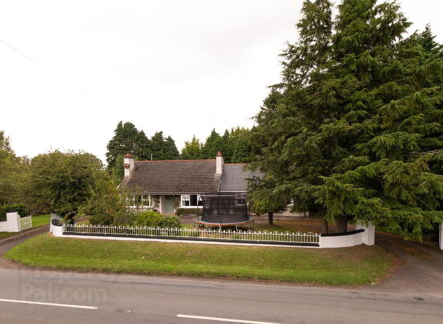 79 Dromore Road, Ballynahinch, BT24 8HS photo