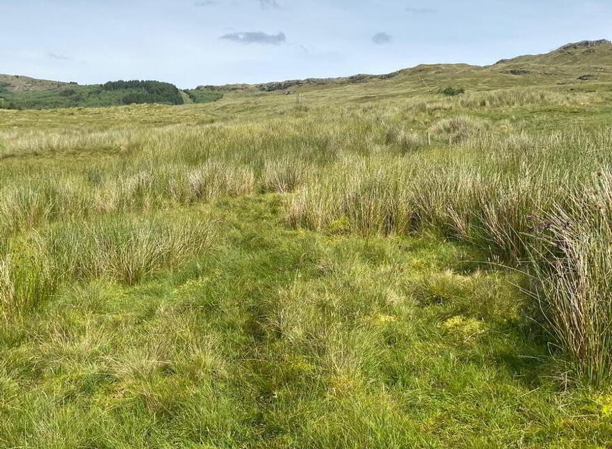 Crowanruda, Kilcar