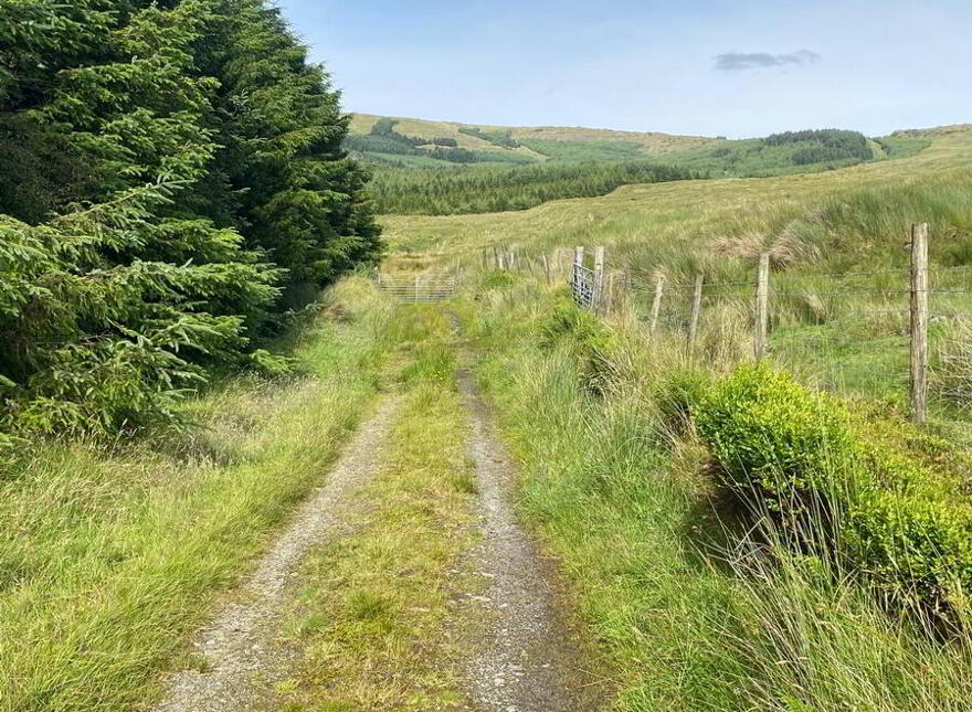 Crowanruda, Kilcar