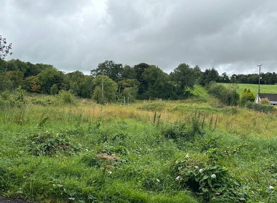 14m West Of 31, Slieveard Road, Ballynamullan, Omagh, BT79 7PA