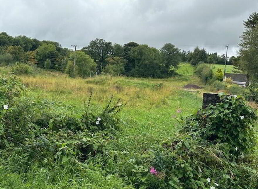 14m West Of 31, Slieveard Road, Ballynamullan, Omagh, BT79 7PA