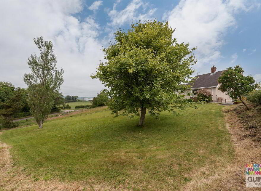 21 Myra Road, Strangford, Downpatrick, BT30 7JX
