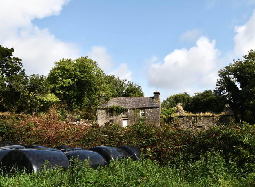 Cappaghbeg, Ballydehob, P000000 photo