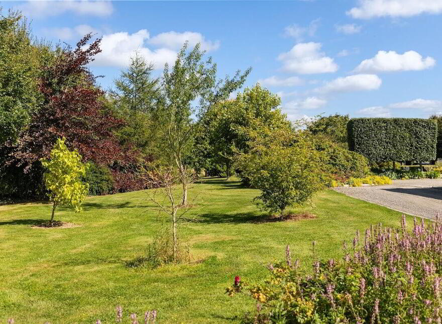 Skylark Hill, Newcastle