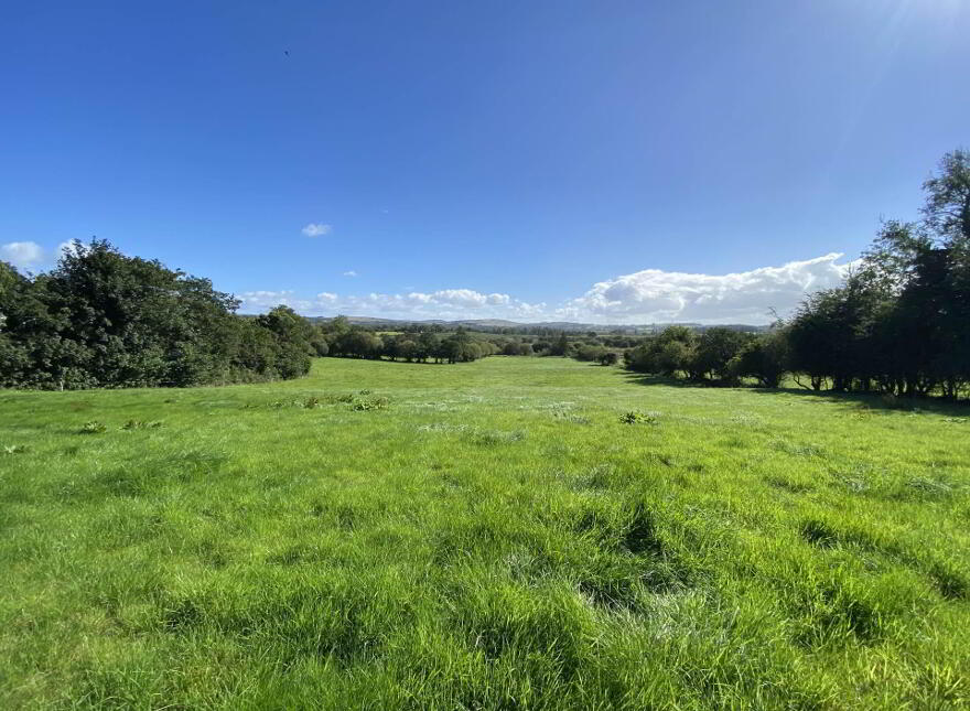 Agricultural Land, Lowtown Road, Glenavy Lisburn, Crumlin, BT29 4PB photo