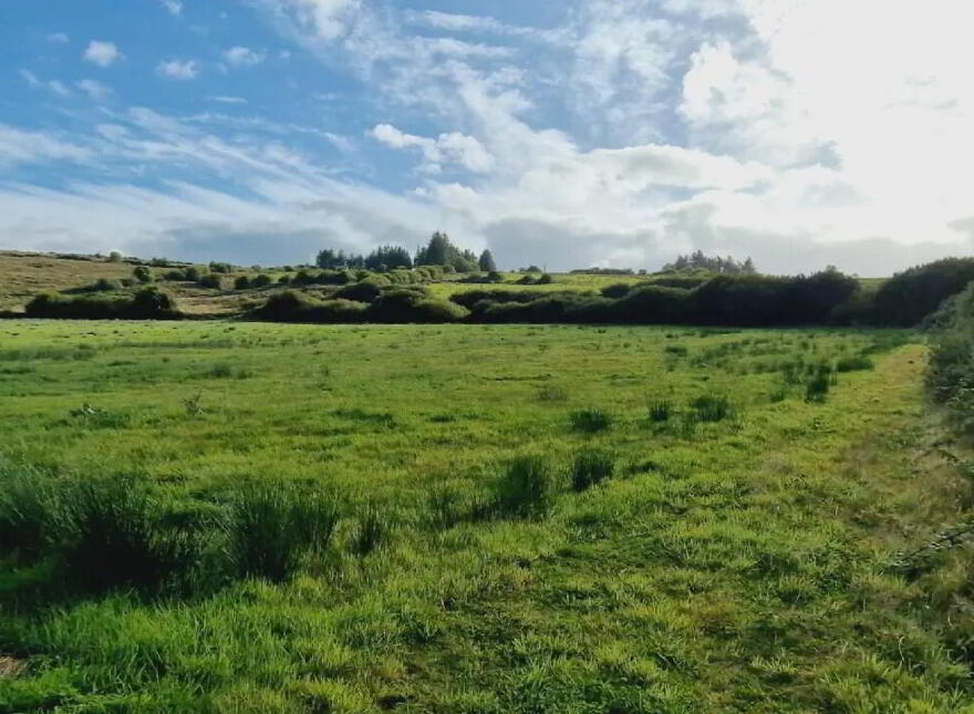 Dromtrasna, Abbeyfeale