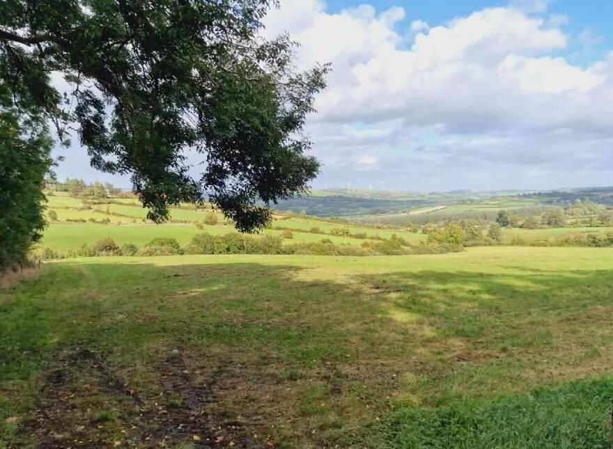 Dromtrasna, Abbeyfeale photo