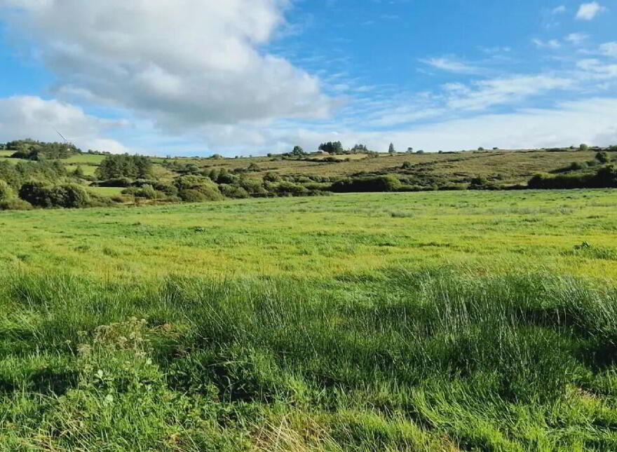 Dromtrasna, Abbeyfeale