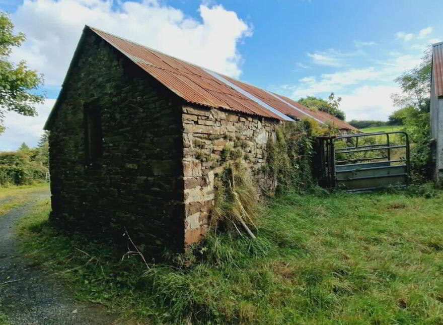 Dromtrasna, Abbeyfeale