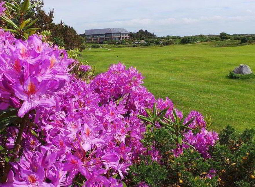 Bearna Golf Club, Barna