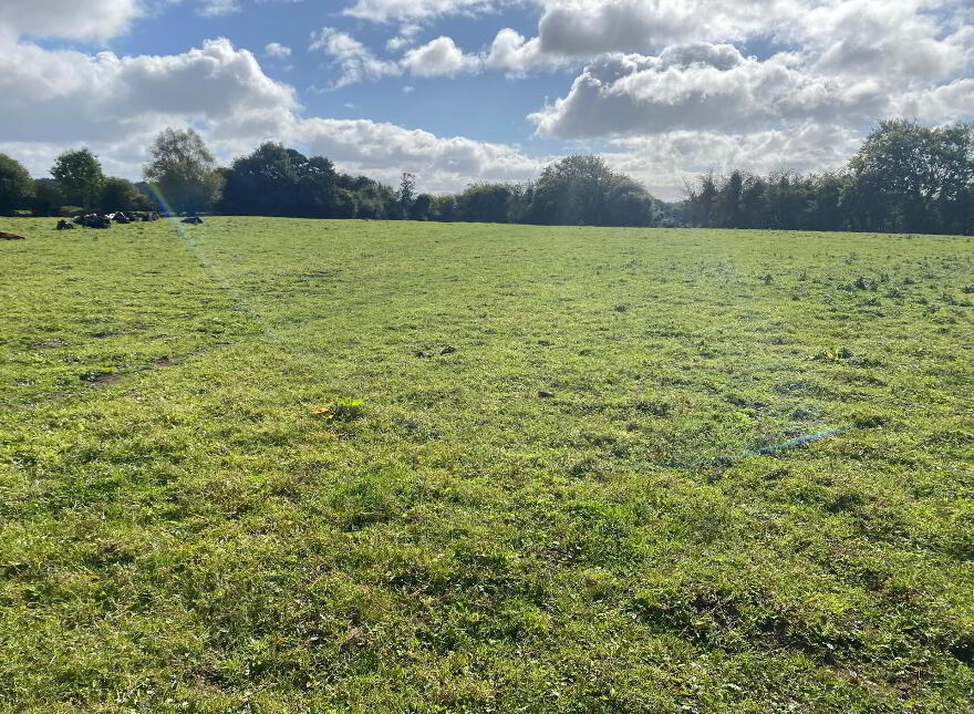 Mount Kelly, Rathvilly photo