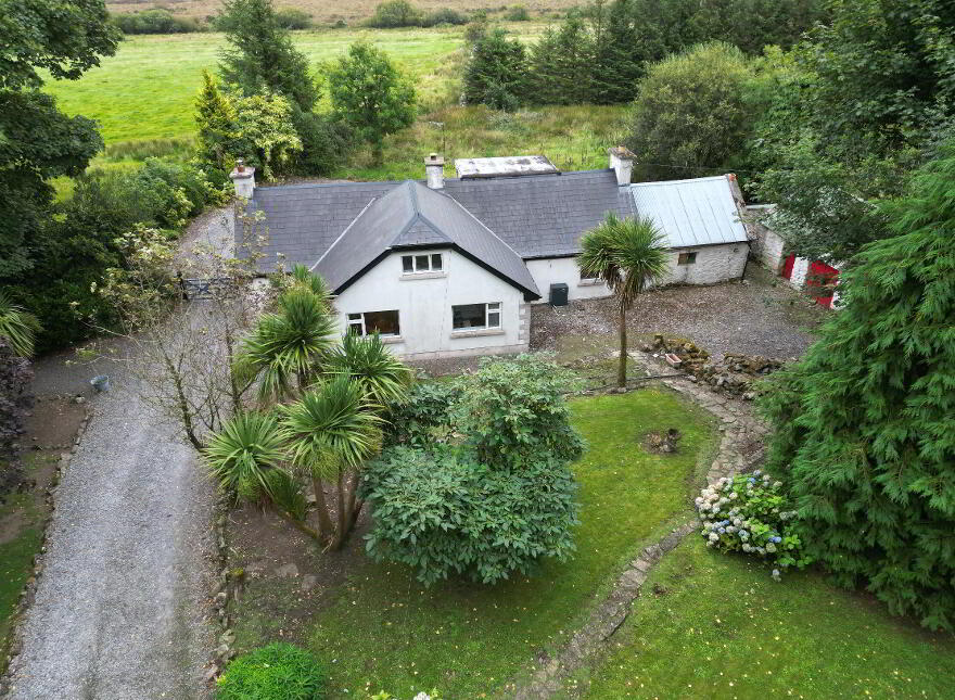 Edenville, Tully, Castlerea, F45DC64 photo