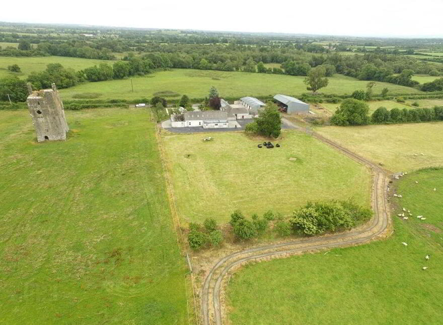Ballagh Castle, Errill, Laois