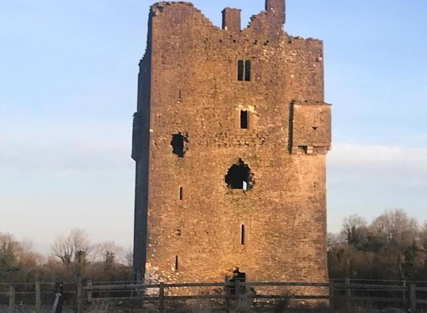 Ballagh Castle, Errill, Laois