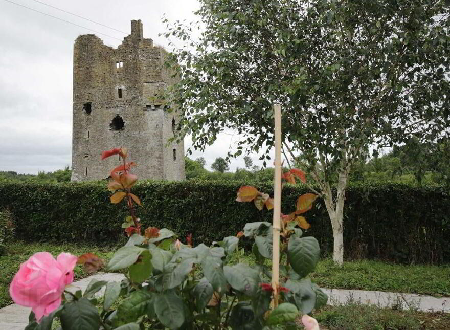 Ballagh Castle, Errill, Laois