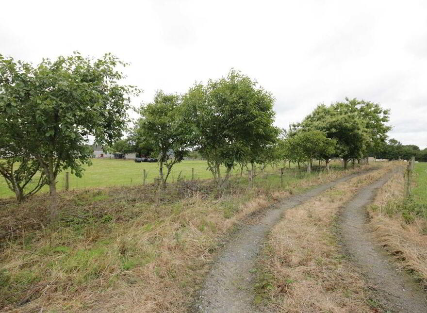 Ballagh Castle, Errill, Laois