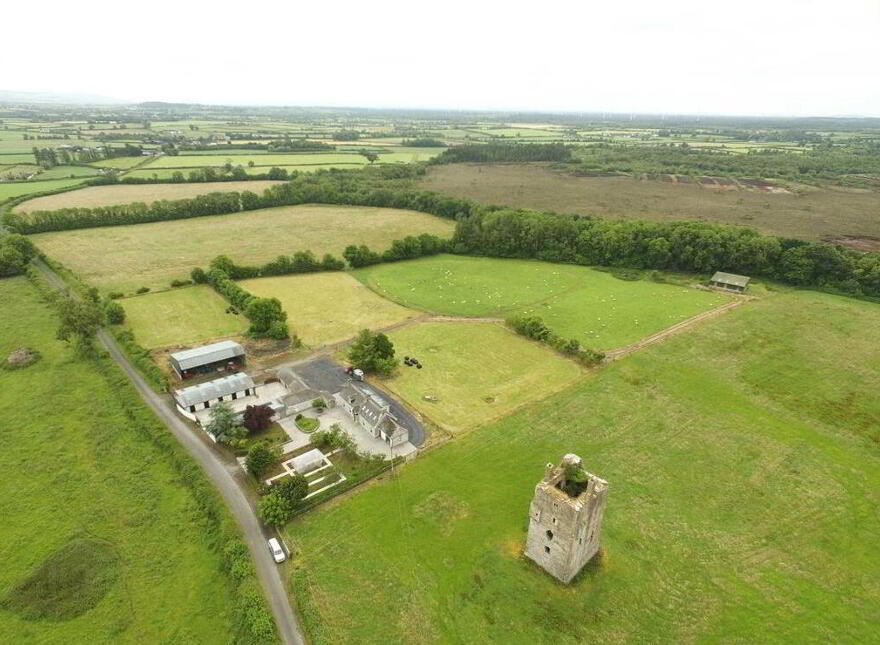Ballagh Castle, Ballagh, Errill, Laois, R32WC96