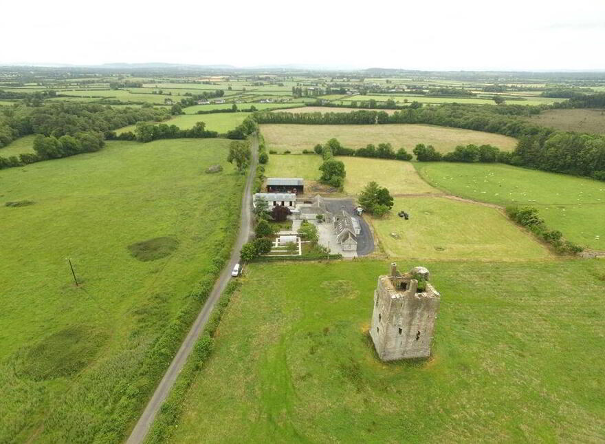 Ballagh Castle, Ballagh, Errill, Laois, R32WC96