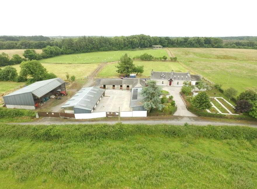 Ballagh Castle, Ballagh, Errill, Laois, R32WC96