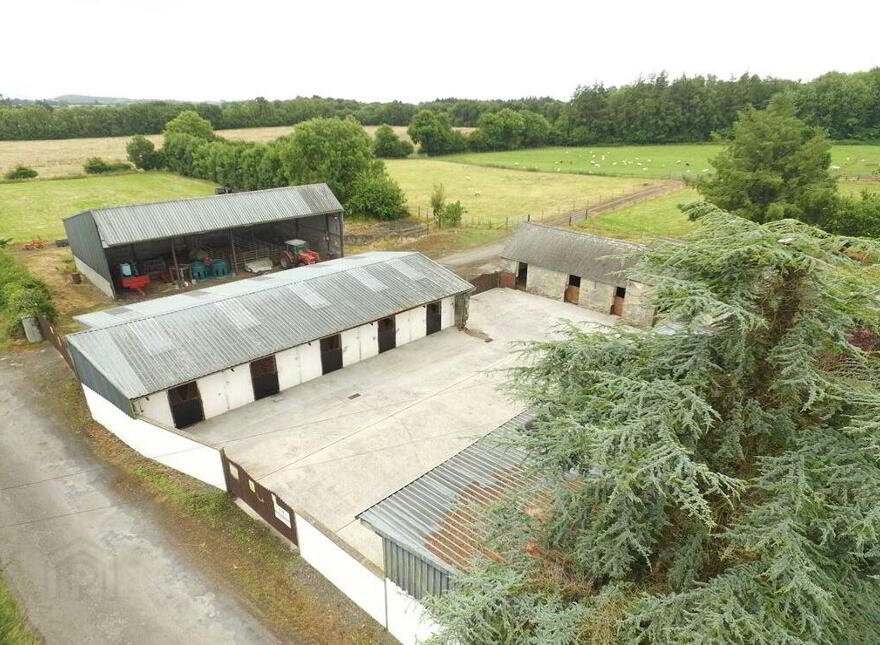 Ballagh Castle, Ballagh, Errill, Laois, R32WC96