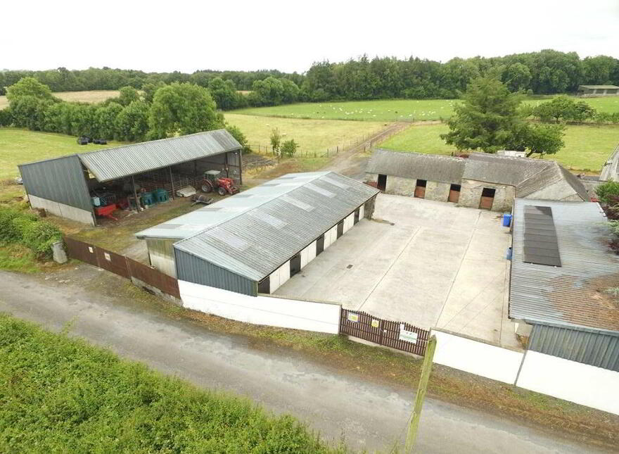 Ballagh Castle, Ballagh, Errill, Laois, R32WC96