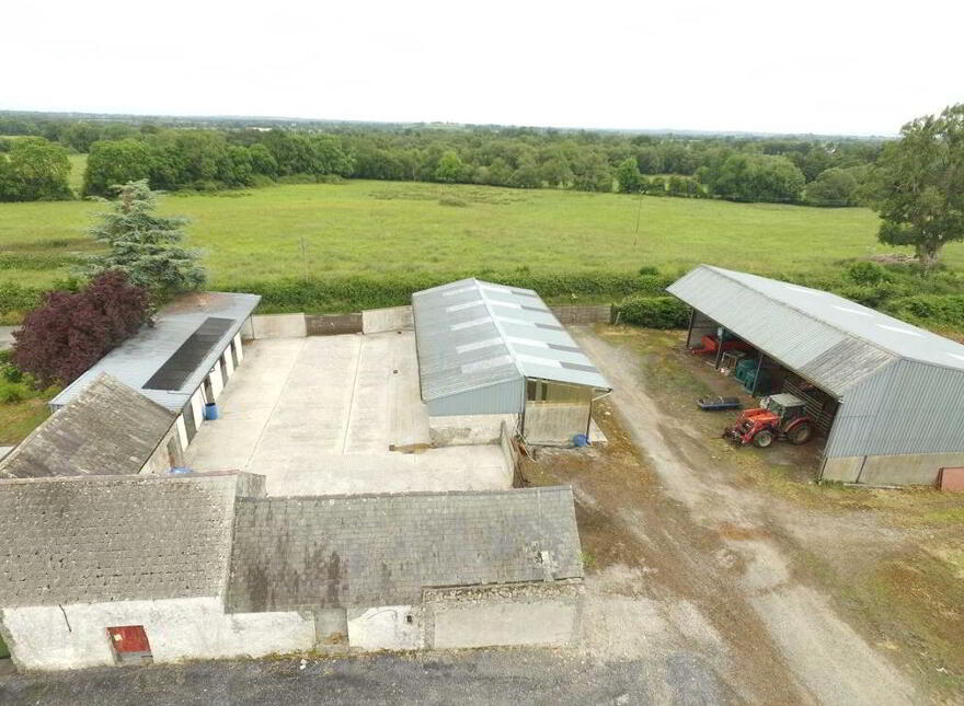 Ballagh Castle, Ballagh, Errill, Laois, R32WC96