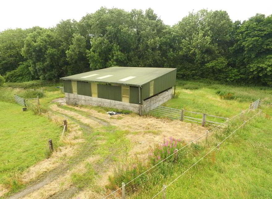 Ballagh Castle, Ballagh, Errill, Laois, R32WC96