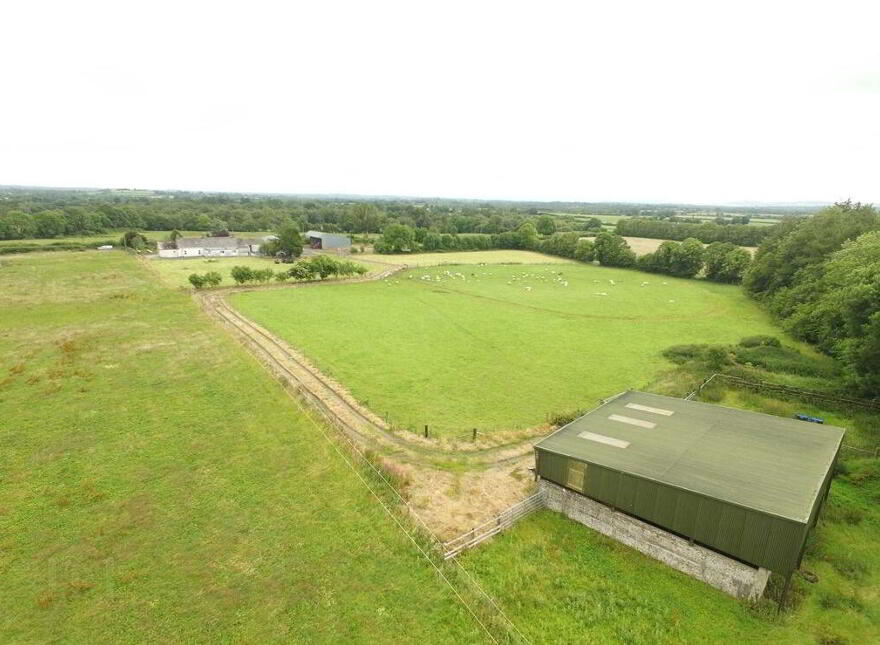 Ballagh Castle, Ballagh, Errill, Laois, R32WC96