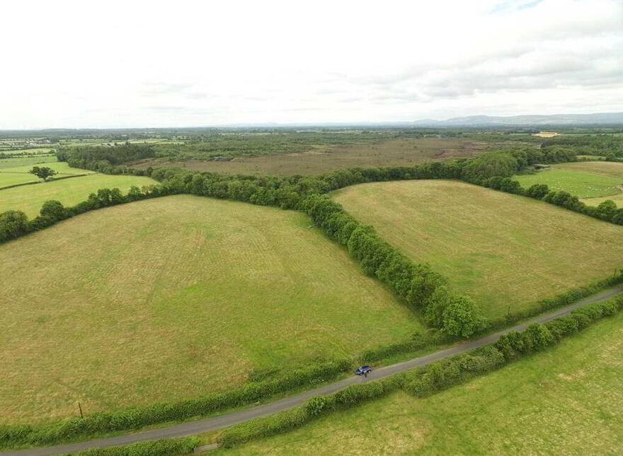 Ballagh Castle, Ballagh, Errill, Laois, R32WC96