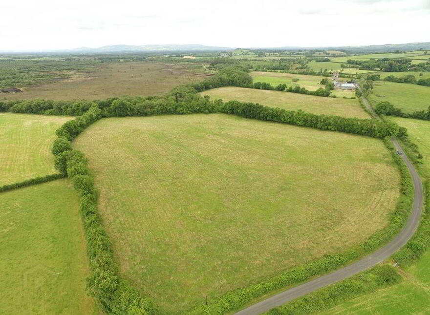 Ballagh Castle, Ballagh, Errill, Laois, R32WC96