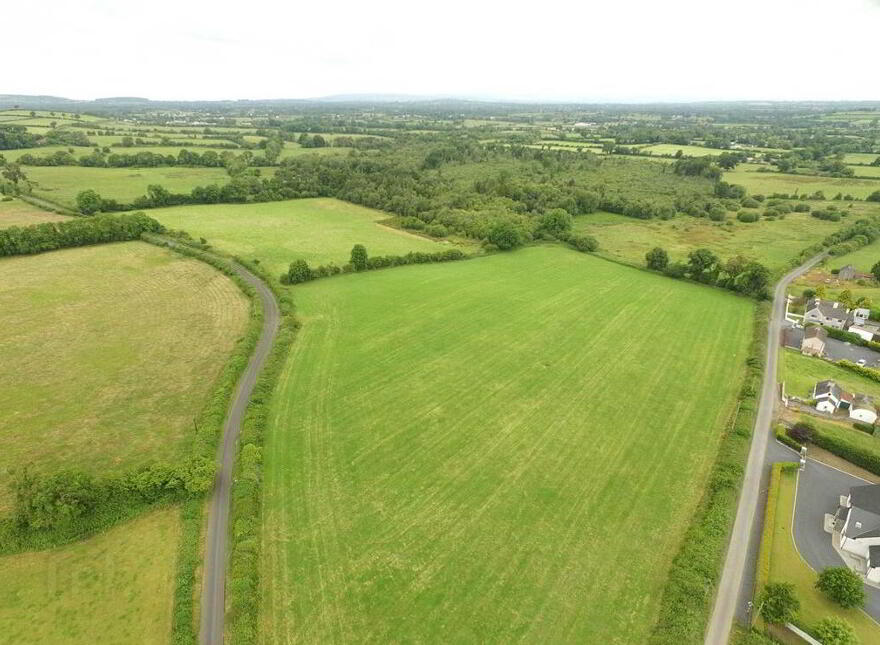 Ballagh Castle, Ballagh, Errill, Laois, R32WC96