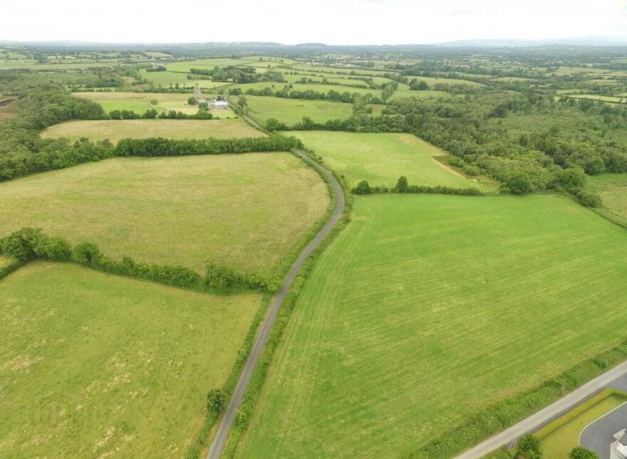 Ballagh Castle, Ballagh, Errill, Laois, R32WC96