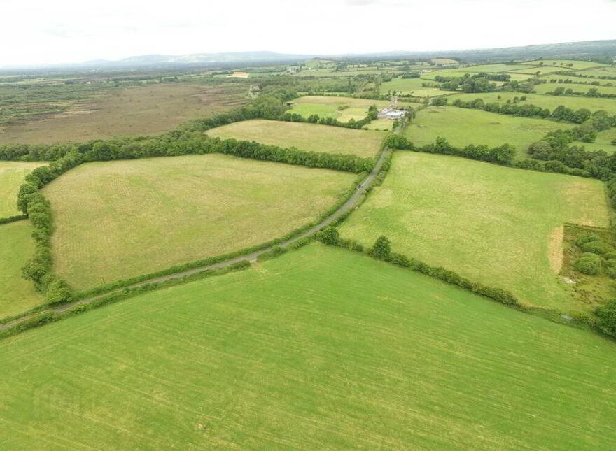Ballagh Castle, Ballagh, Errill, Laois, R32WC96